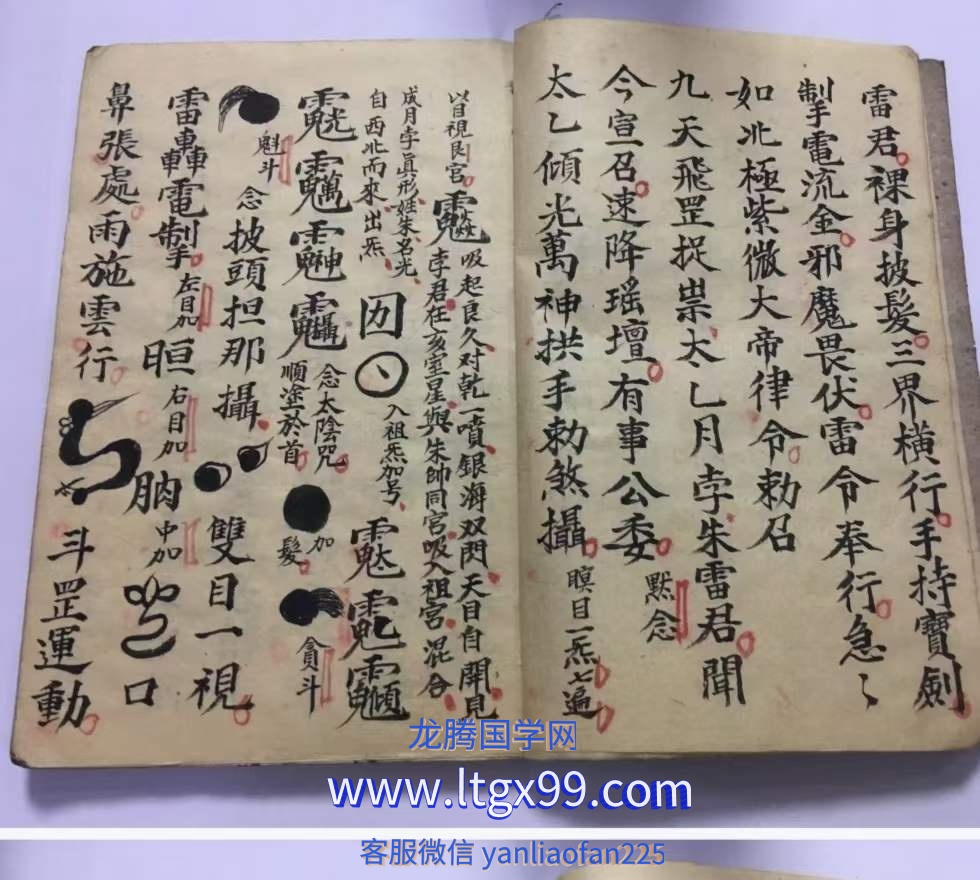 火犀诸将符秘科