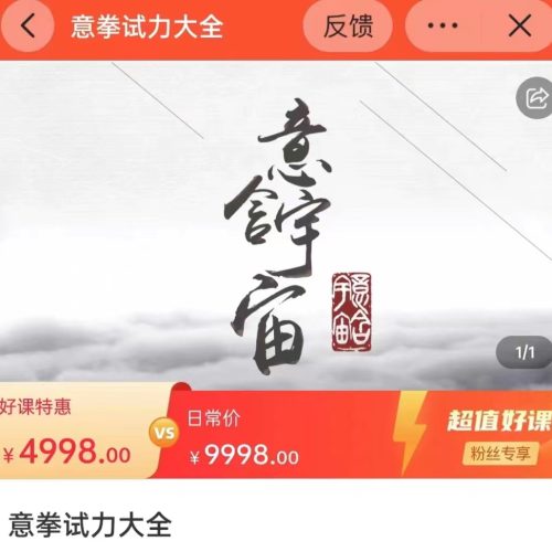 姚承光 意拳试力大全