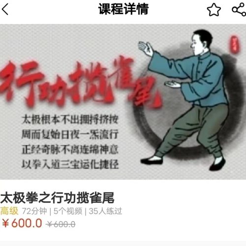 玄妙 行功揽雀尾