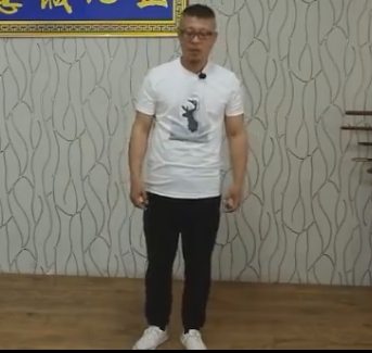 万千古传形意之马形，鼍形