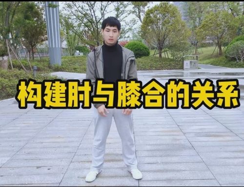 三十三功夫讲堂·混元四化（混元桩进阶课）