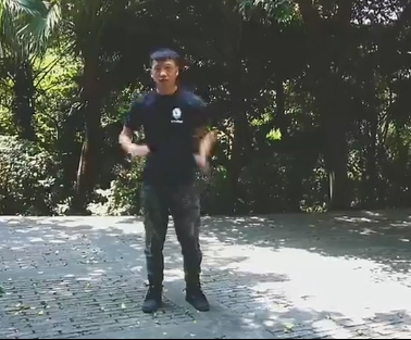 形意拳十二形蛇形