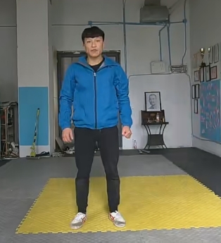 形意十二形之势势不离虎扑