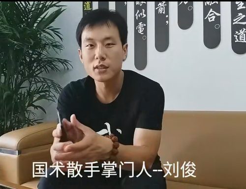 刘俊 内功解密混元劲