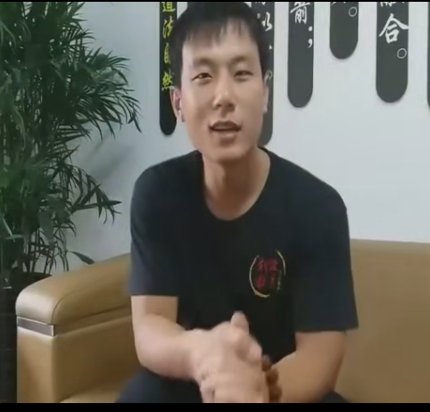 刘俊 太极实用拳法十三式