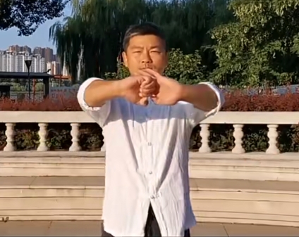剑章 五行拳系列之鹤舞