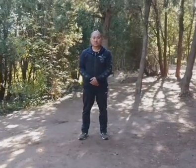 少林心意把
