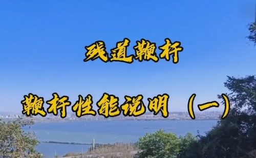 宁秋离-残道鞭杆十八母法