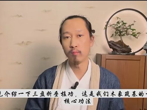 徐法昇-南宫剑派内功 散手 实战