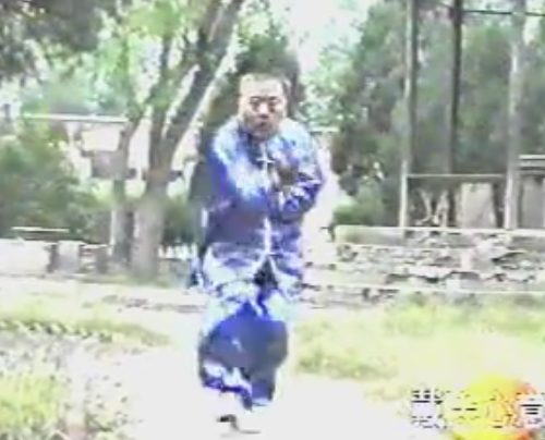 心意六合拳曹继植