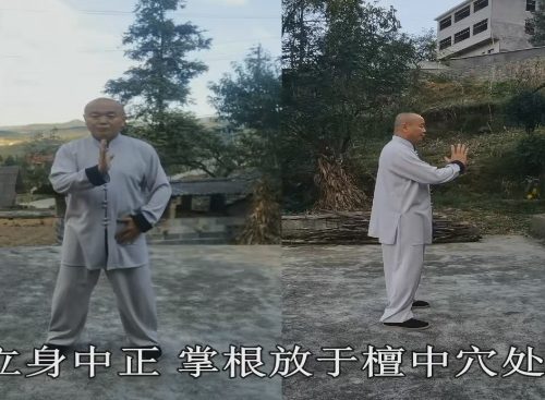 心觉绵拳古法盘球十二式