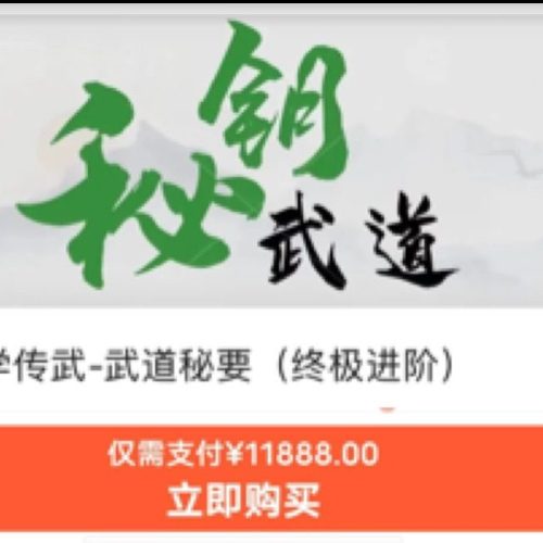 飞宏忠派散手 武道秘钥