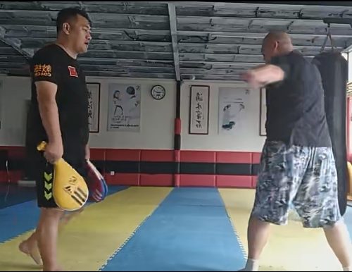 风云生 第三月鞭子劲强化击靶练习