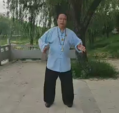大成拳混元桩心法核心完整版