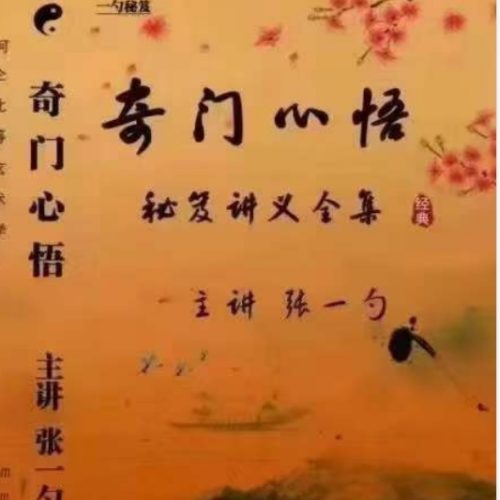 张一勺 奇门‮悟心‬赋讲座