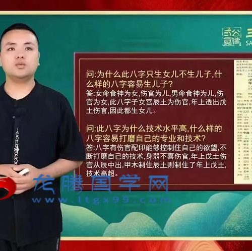 夏光明-德啸 名人八字案例解析集