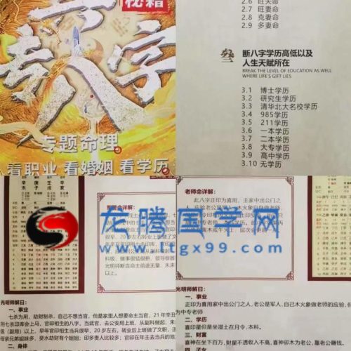 夏光明真传八字 看职业 看婚姻 看学历.pdf