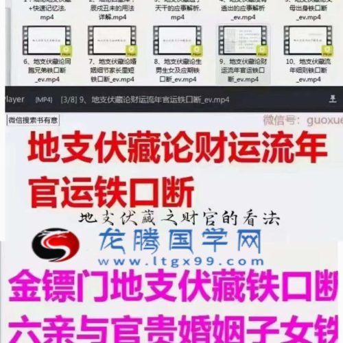 金镖门 地支伏藏铁口断