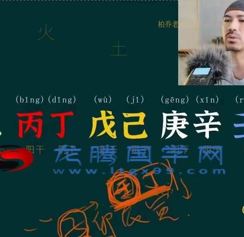 金镖门体系柏乔老师 深度基础