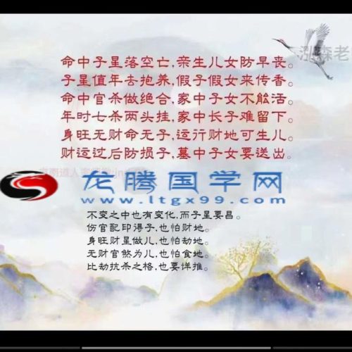 金镖门泓森老师婚姻儿女专题24集12小时钉钉视频