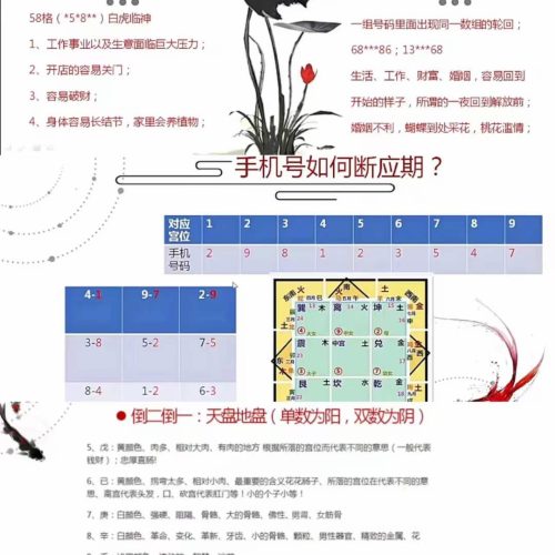 奇门数字之手机号车牌号