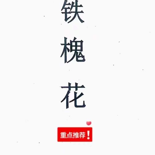 铁槐花（上册+下册）