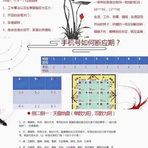 相宇奇门数字之手机号车牌号