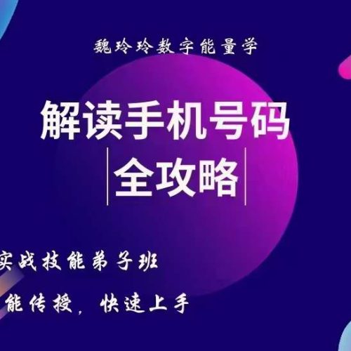 魏玲玲数字改运实战技能弟子班课程——数字改运，快速上手
