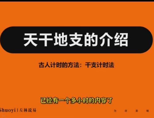 左林三小时学会【看八字】