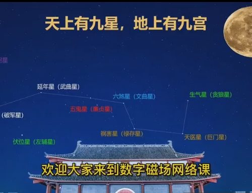 左林数字能量学 · 亲传班 （高级）