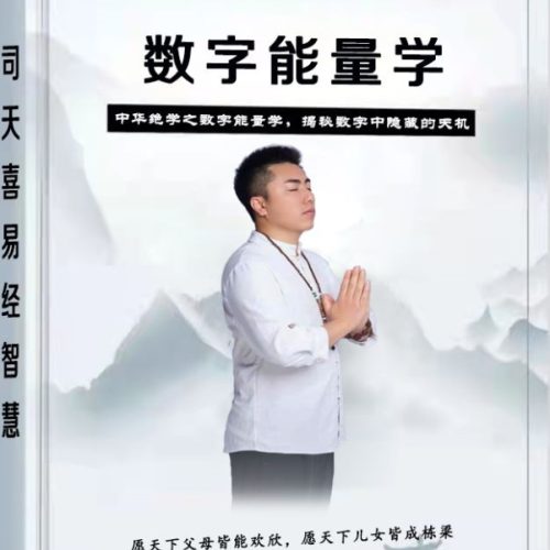 司天喜数字能量职业班