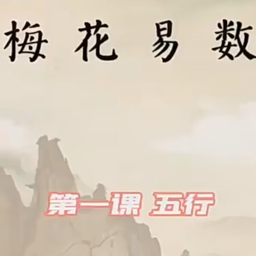 民间梅花易数梅花探幽