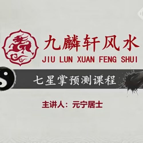 元宁居士 七星掌预测