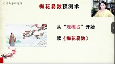 文玥梅花易数