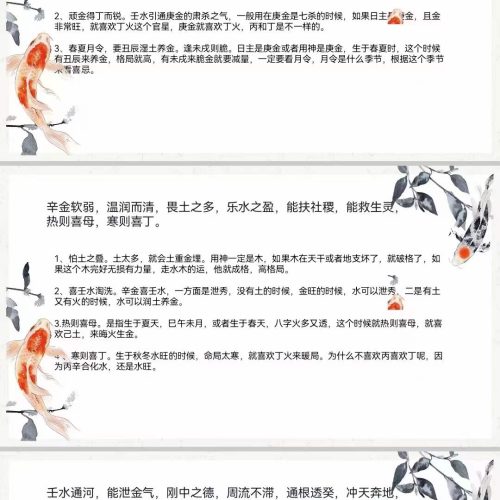 美女小鹿四柱基础