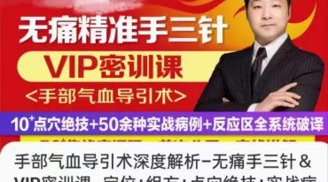 手部气血导引术深度解析–无痛手三针＆VIP密训课–定位+组方+点穴绝技+实战病例