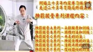 阿福 抻筋拔骨系列课程