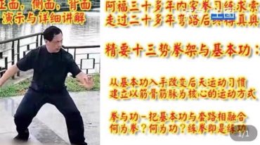 阿福 真传太极精要十三势拳架与基本功分解教学