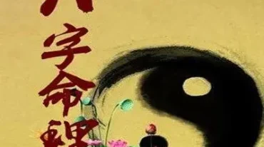 金磊盲派八字