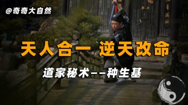 无量子种生基风水改运