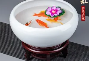 摆鱼缸养鱼旺财秘法