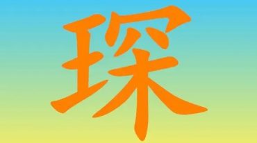 一琛道人三元纳气录像11集