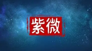刘金府紫微粤语加+文档