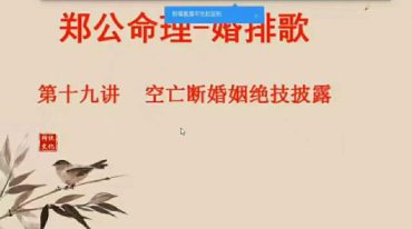 郑民生 郑公命理看婚姻专题 婚排歌