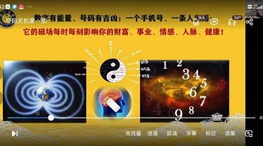号码天机密训班系列网课