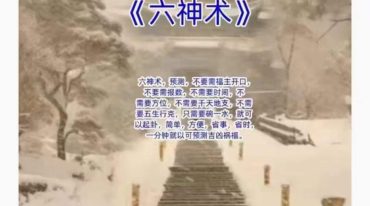 六神术内部文档.pdf