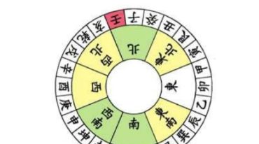 黄俊文三元教学正宗杨公三元风水培训班视频18集+资料1本