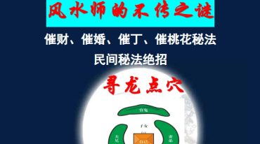 风水大师不传之秘《风水师使用绝招》纯净版.pdf
