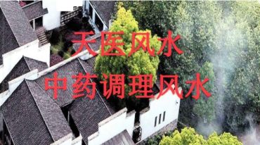 飞鱼-阳宅风水景物断《天医风水、中草药布局 调理风水》.pdf