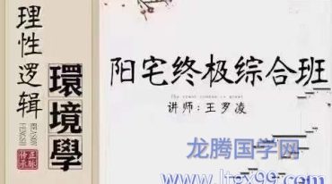 王罗凌-理性逻辑环境学终极综合班